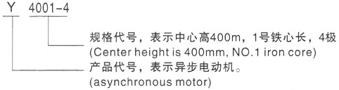 西安泰富西玛Y系列(H355-1000)高压YR4004-4/280KW三相异步电机型号说明